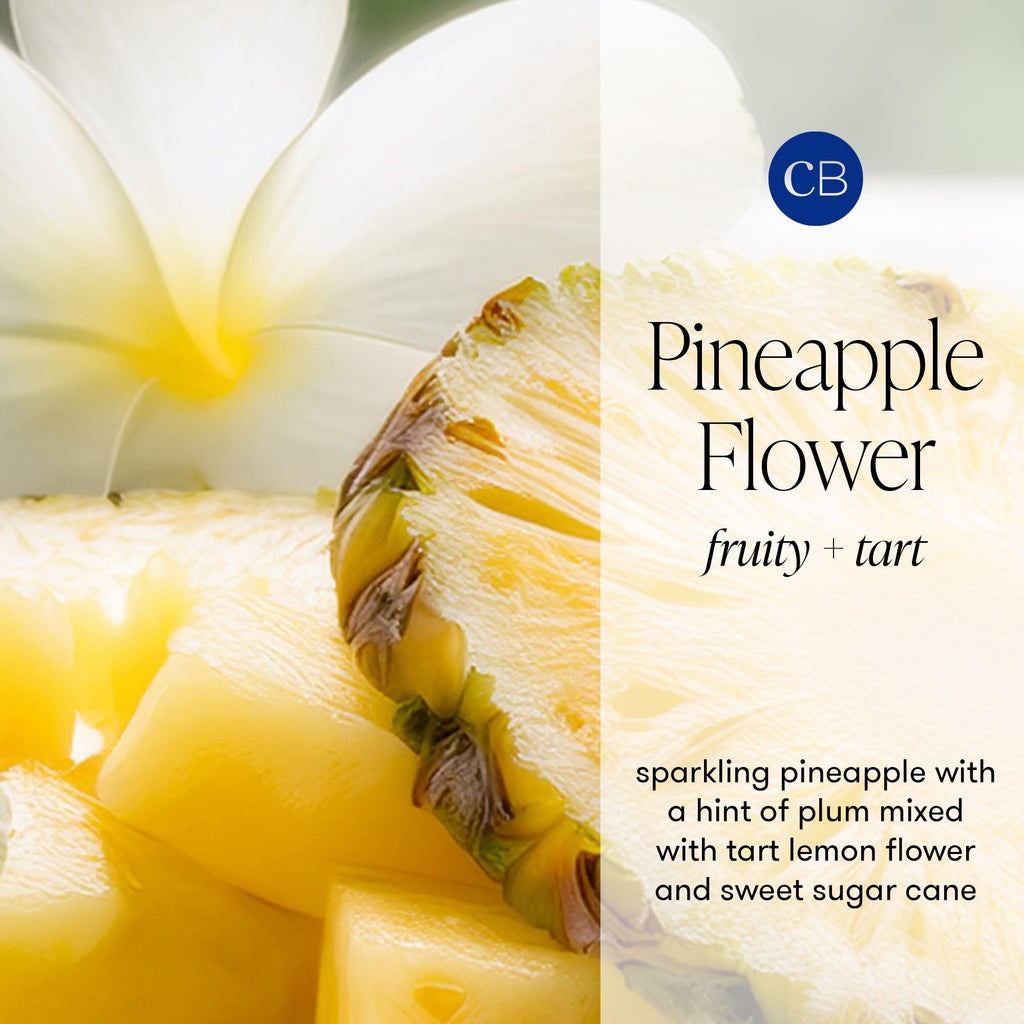 Capri Blue Volcano Reed Diffuser Set - Includes Reed Diffuser Sticks, Fragrance Oil, and Glass Bottle - Luxury Scented Room Fresheners - Cobalt Blue (8 fl oz)