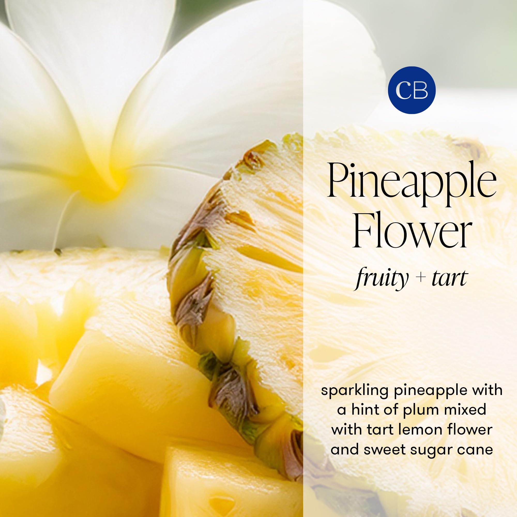 Capri Blue Volcano Reed Diffuser Set - Includes Reed Diffuser Sticks, Fragrance Oil, and Glass Bottle - Luxury Scented Room Fresheners - Cobalt Blue (8 fl oz)