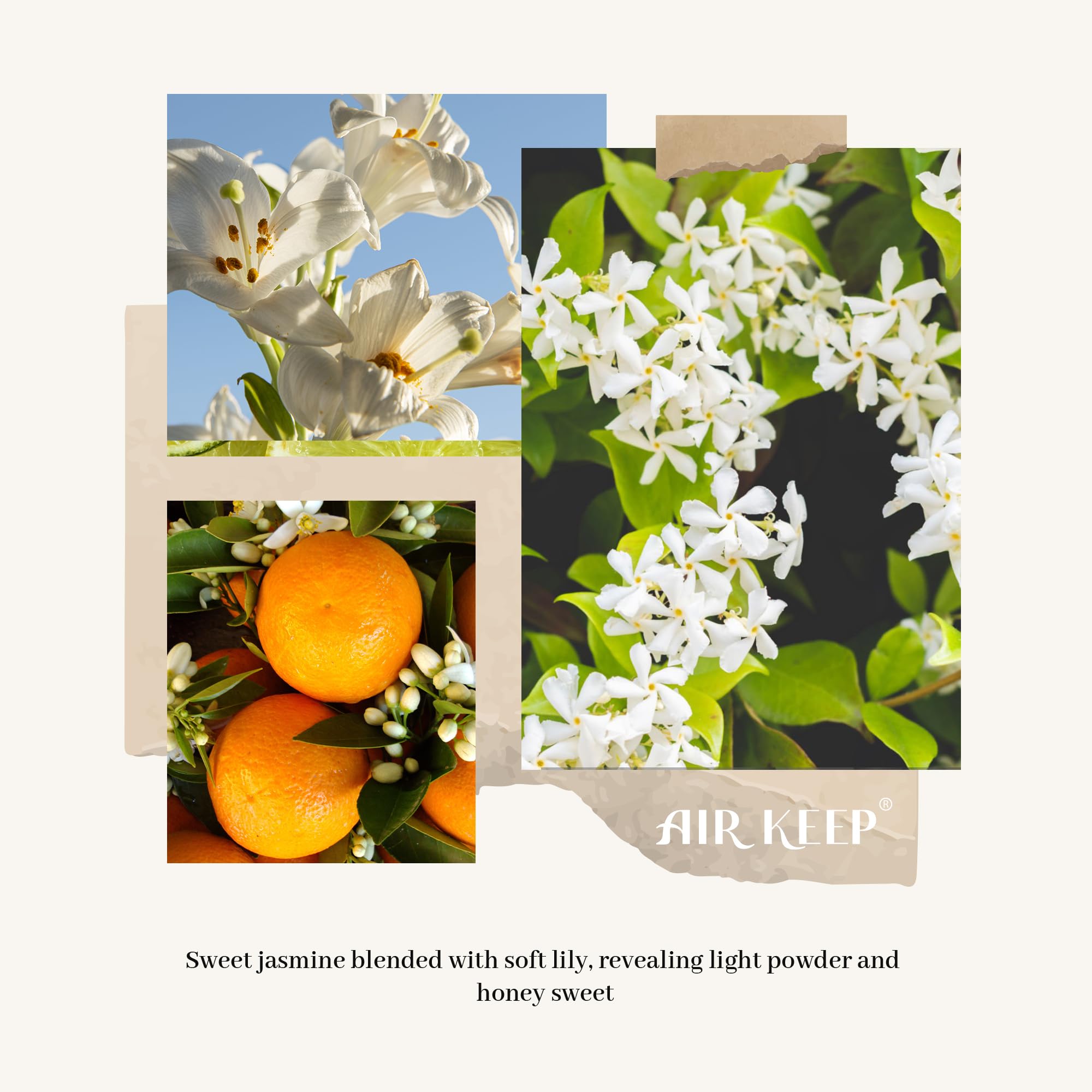 Airkeep Reed Diffuser Set,3.38 fl oz (100 ml) - Clean Linen Oil Diffusers with 8 Reed Sticks,Home Fragrance Reed Diffuser for Bathroom Shelf Decor