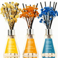 Reed Diffuser Set of 3 Packs, Lemon Verbena/Rose/red Berry, Oil Diffuser Reed Diffuser for for Home, Bathroom, Office Decor 1.7 Fl.oz, Total 5.1Oz