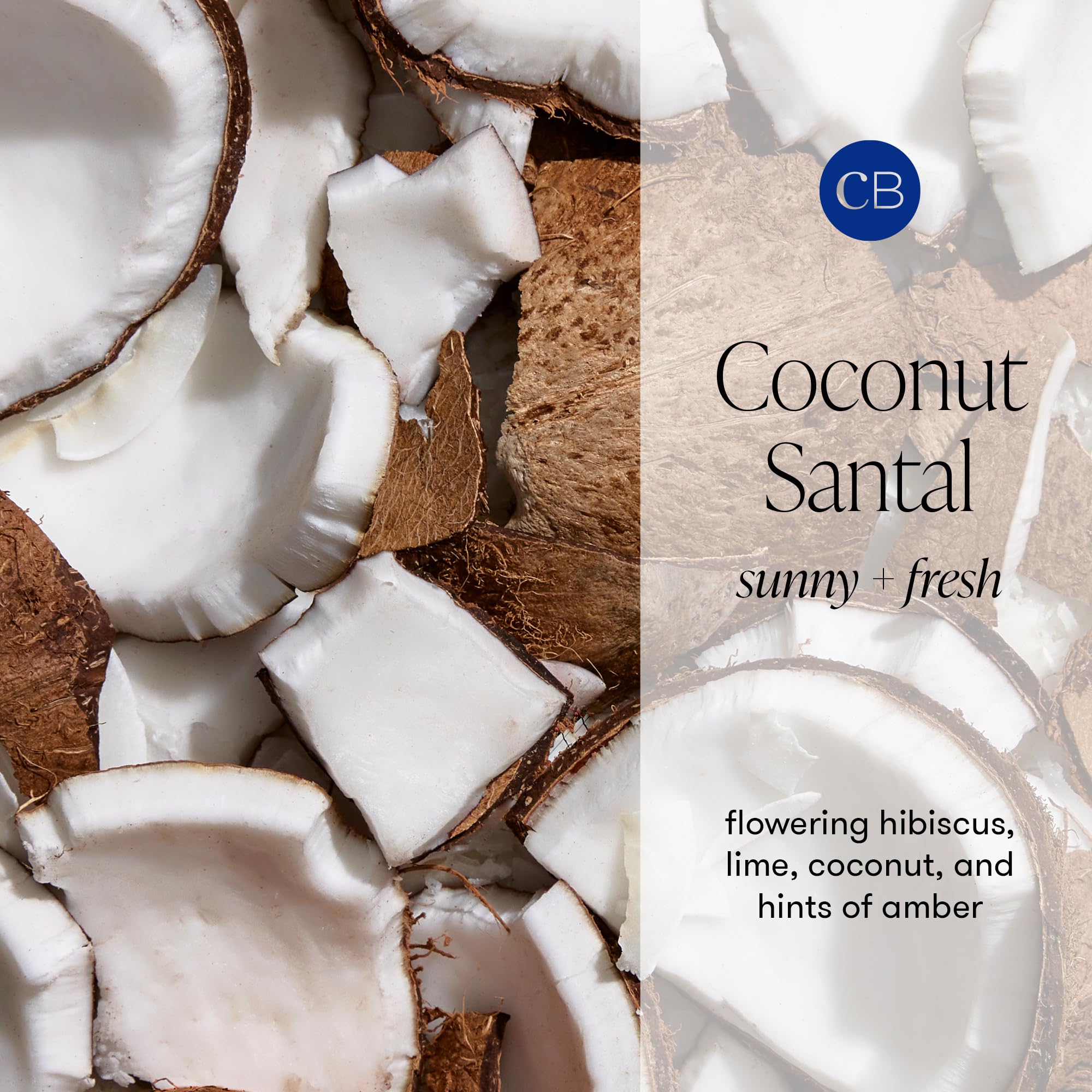 Capri Blue Volcano Reed Diffuser Set - Includes Reed Diffuser Sticks, Fragrance Oil, and Glass Bottle - Luxury Scented Room Fresheners - Cobalt Blue (8 fl oz)