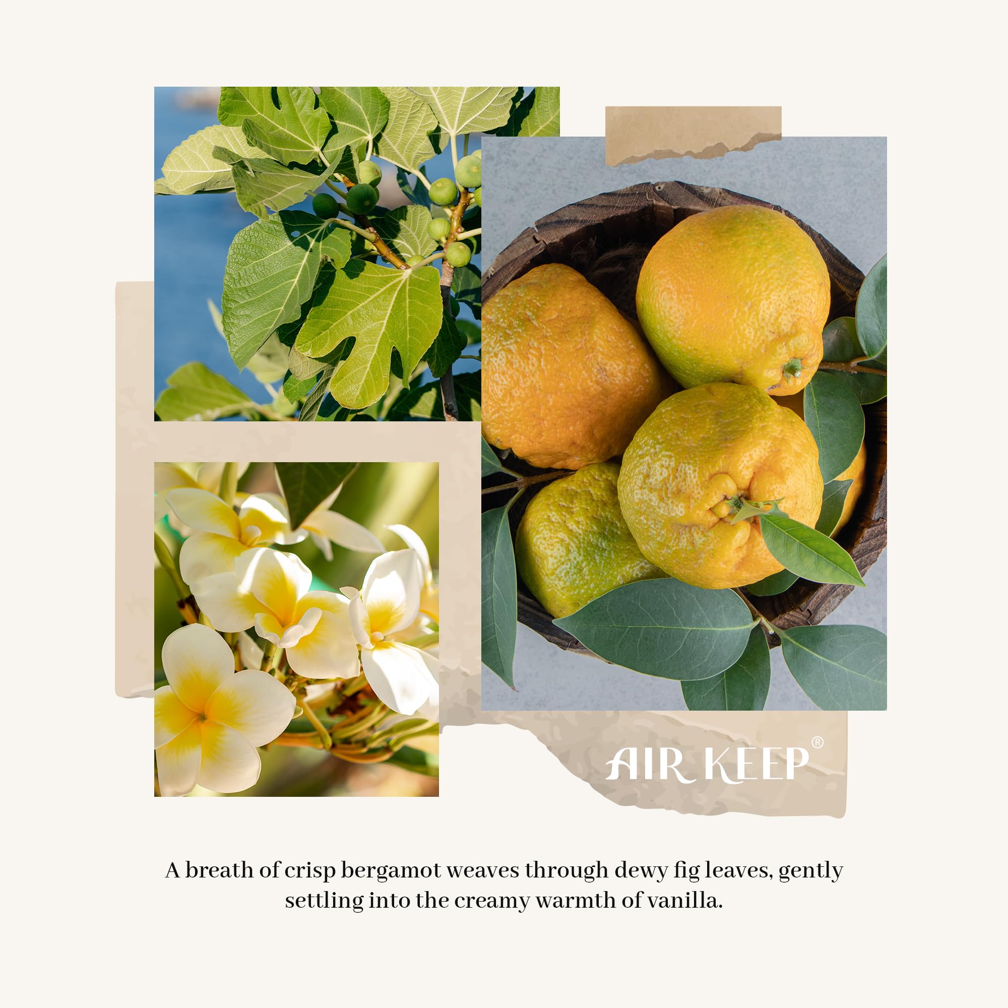 Airkeep Reed Diffuser Set,3.38 fl oz (100 ml) - Clean Linen Oil Diffusers with 8 Reed Sticks,Home Fragrance Reed Diffuser for Bathroom Shelf Decor