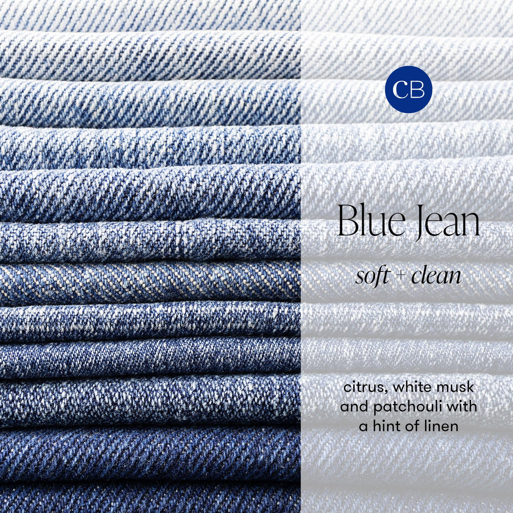 Capri Blue Volcano Reed Diffuser Set - Includes Reed Diffuser Sticks, Fragrance Oil, and Glass Bottle - Luxury Scented Room Fresheners - Cobalt Blue (8 fl oz)